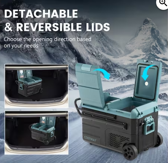 Special, 40 Quart Car Refrigerator Portable 12/24V DC & 110-240V AC Dual Zone Car Freezer