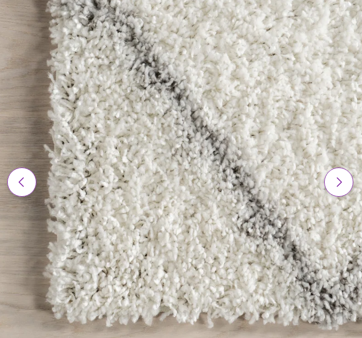 Darryll Trellis Shag Area Rug, 4`x 6`