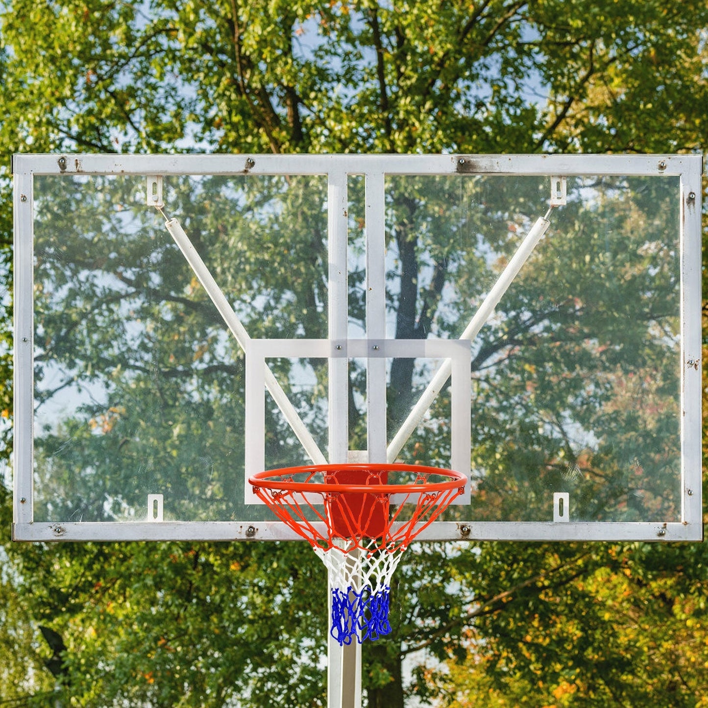 18 inch Wall Mounted Basketball Hoop, Hoop Only