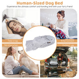 Washable Fluffy Human Dog Bed with Soft Blanket and Plump Pillow-Grey