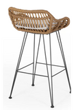 Endicott Wicker 30'' Bar Stool with Cushion (Set of 2)