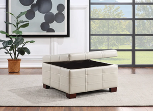 Vegan Leather storage ottoman, interior damage, exterior fine