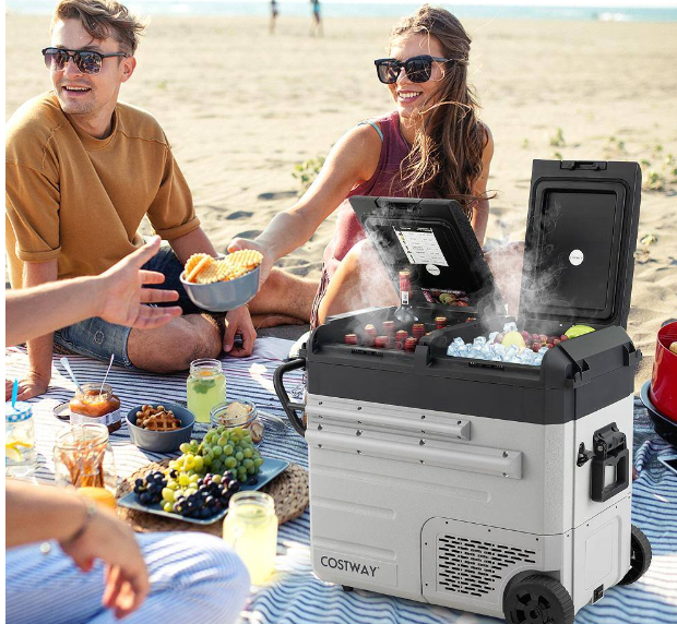 Special, 40 Quart Car Refrigerator Portable 12/24V DC & 110-240V AC Dual Zone Car Freezer