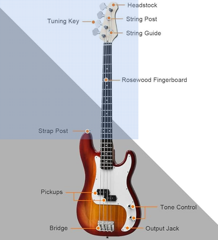 Bass Guitar, new