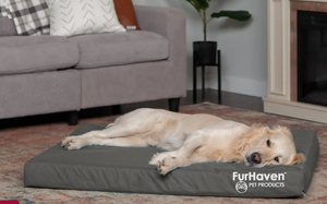 Pethaven Orthopedic Waterproof 6`` Memory Foam Pet Bed, Grey