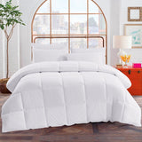 600 Fill Goose Down Comforter, Full/ Queen