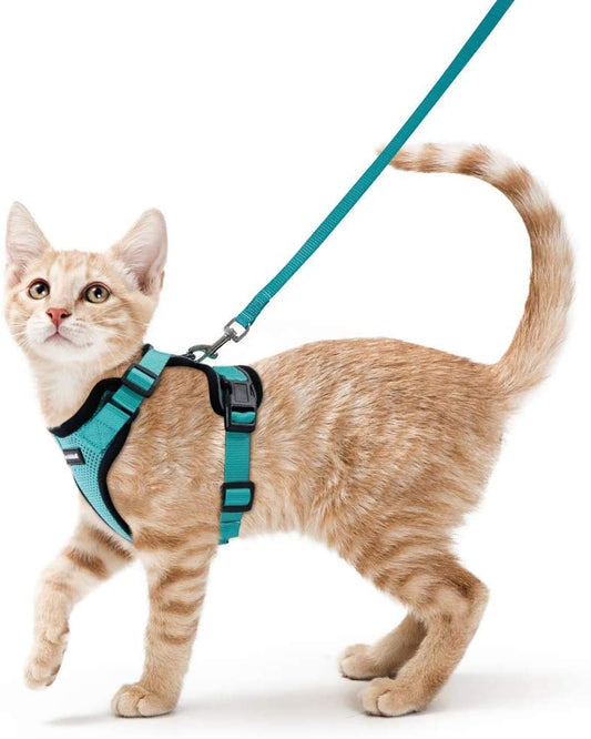 No Pull  Cat Harness - Small