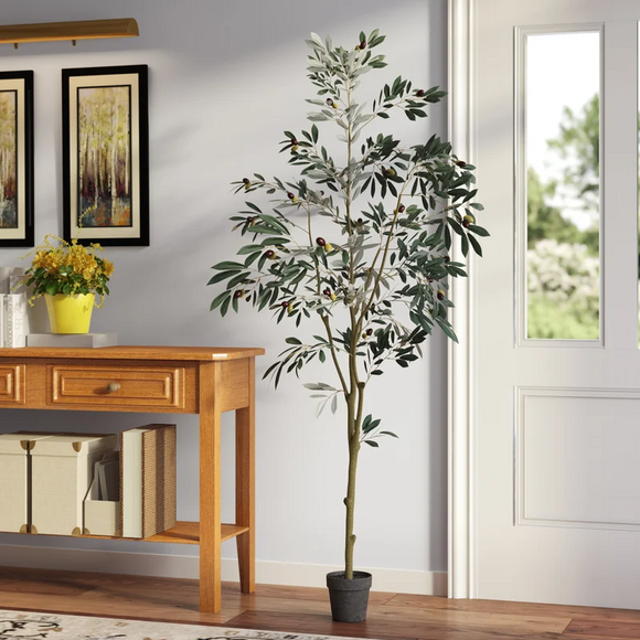 6ft Artificial Olive Tree in Pot