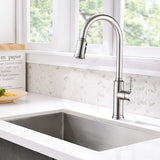 Dual Function Pull Out Kitchen Faucet