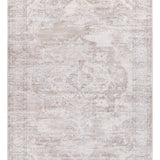 Cantey Oriental Area Rug in Ivory - 9' X 12'