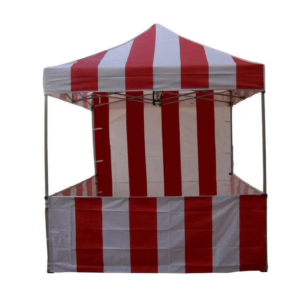 Carnival 8 Ft. W x 8 Ft. D Steel Canopy