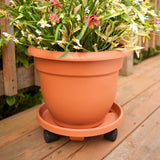 Cordeiro Self-Watering Polypropylene Pot Planter