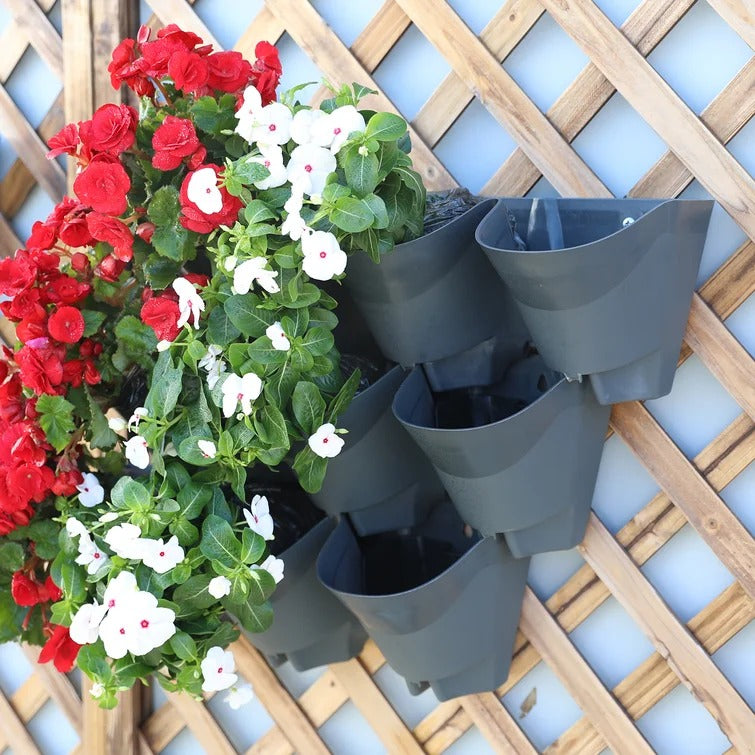 Crowle Self Watering Plastic Wall Planter (Set of 3)