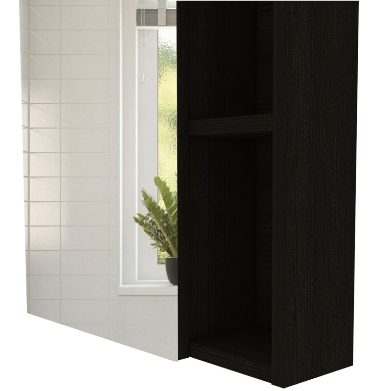 Black Eliashiv Surface Mount Frameless 1 Door Medicine Cabinet