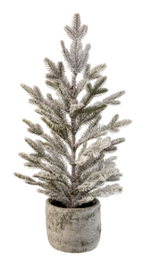 Holiday Memories 24" Potted Noble Fir Tree with Snow