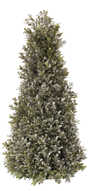 Holiday Memories Champagne Boxwood 20
