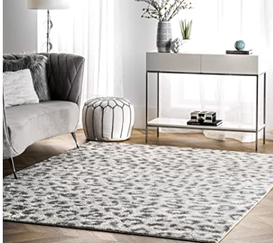 nuLOOM Print Leopard Area Rug, 5' x 7' 5", Gray