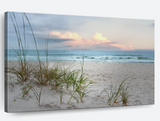 Beach Driftwood, print, 40`` x 60``