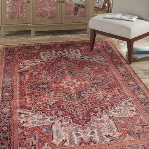 Wagga Oriental Area Rug in Brick