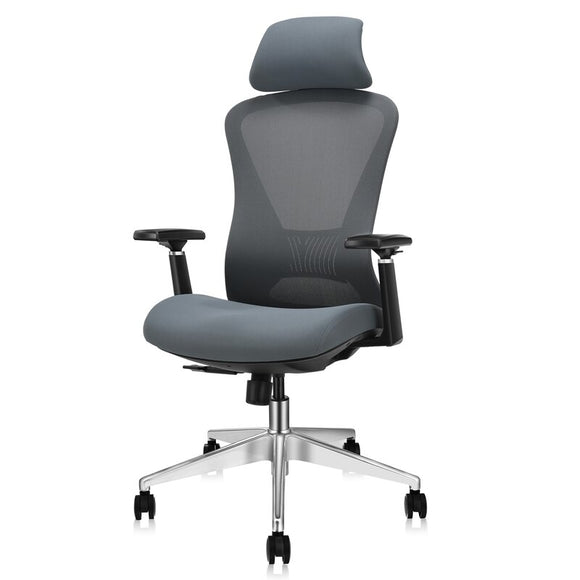 Zebulon Ergonomic Task Chair, grey, customer return, good shape