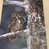 Owl Winter Scene 18`` x 12``
